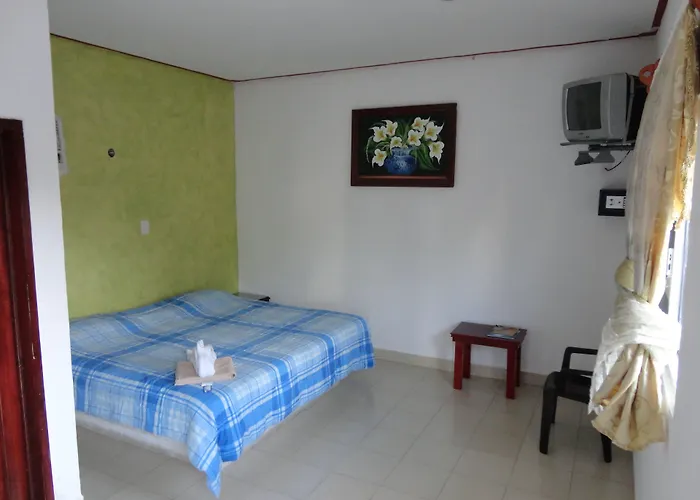 Oyo Hotel Palma Real